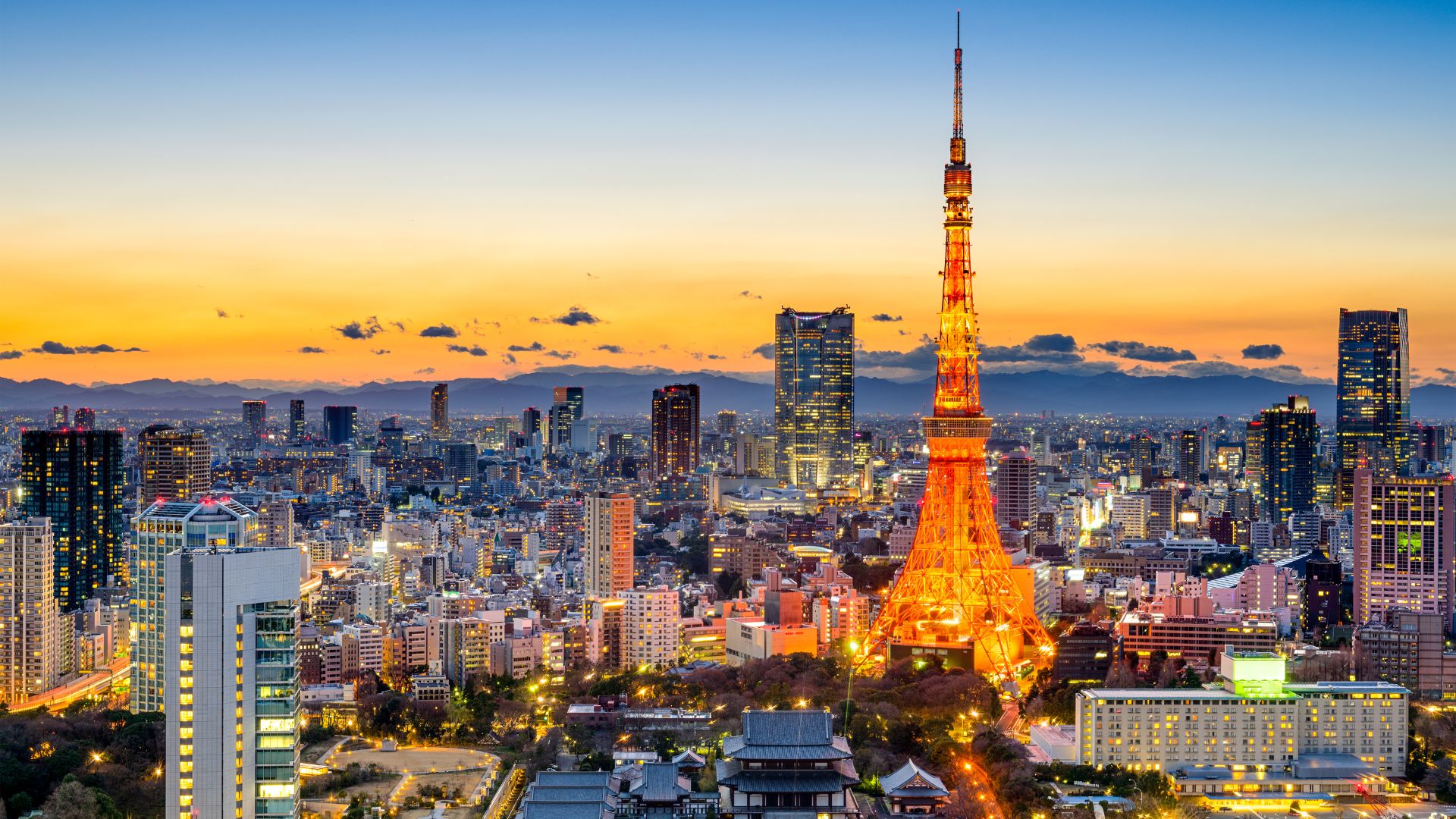 Tokyo Skyline