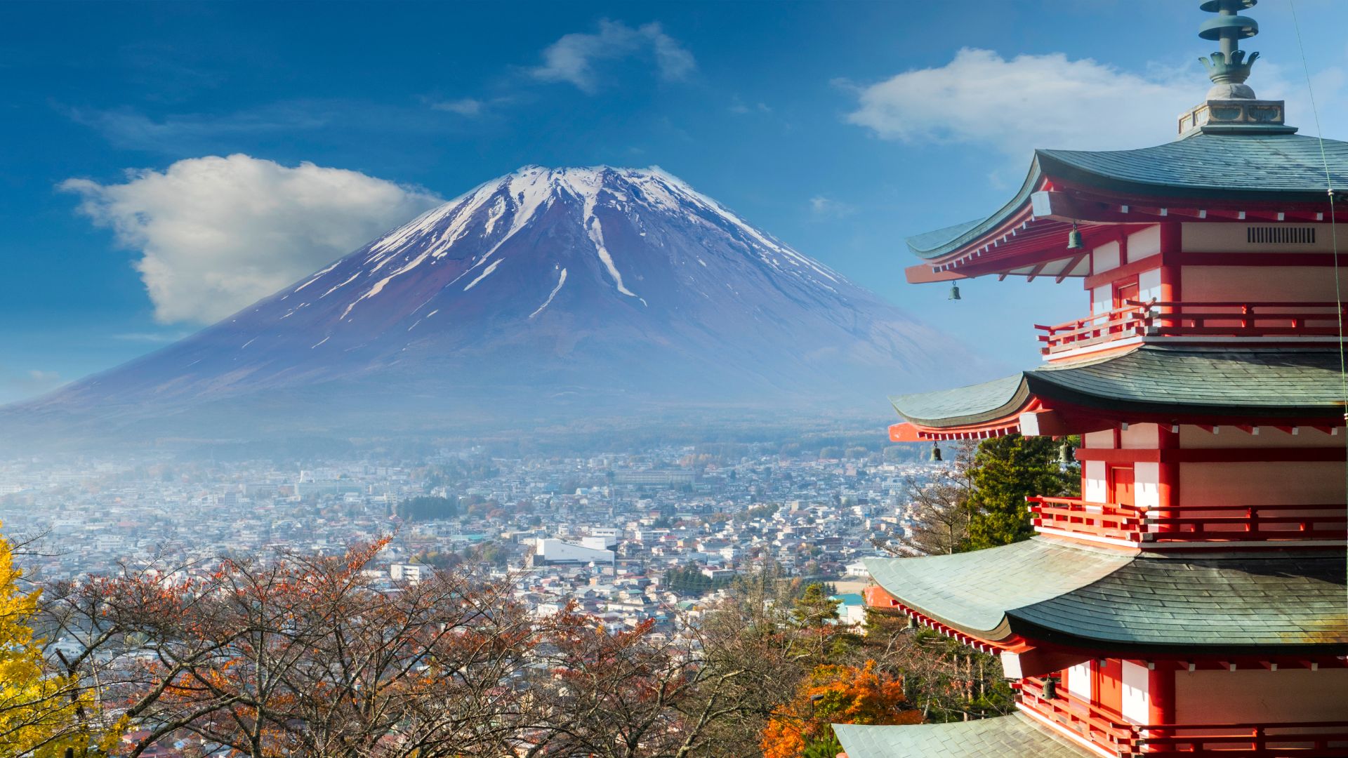 Japan Tour
